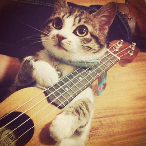 天天干老太太色网
