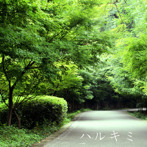 天天干老太太色网
